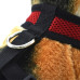 Soft Mesh Harness Chest Strap Vest Training for Puppy Pet