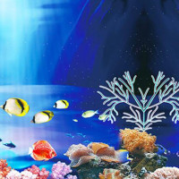 Double-sided Aquarium Landscape Sticker Poster Fish Tank 3D Background Decor Painting Sticker